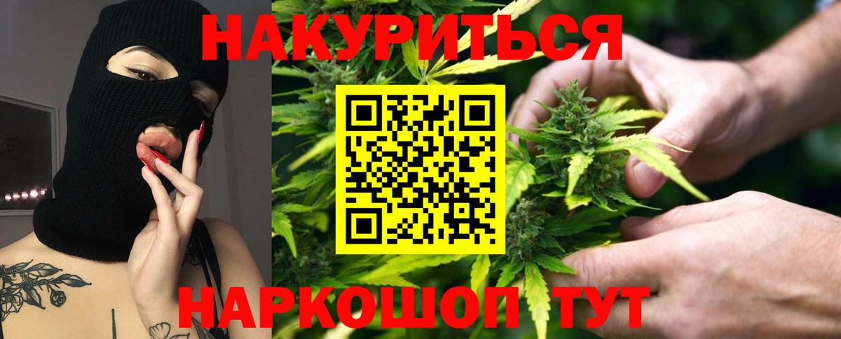 Бошки марихуана конопля Кинель